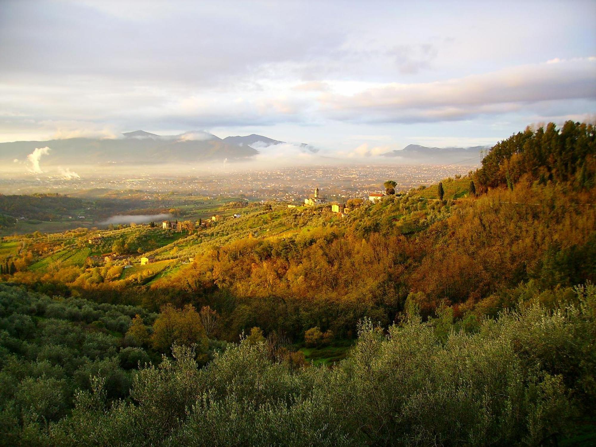 Fattoria Gambaro Di Petrognano Villa Collodi Kültér fotó
