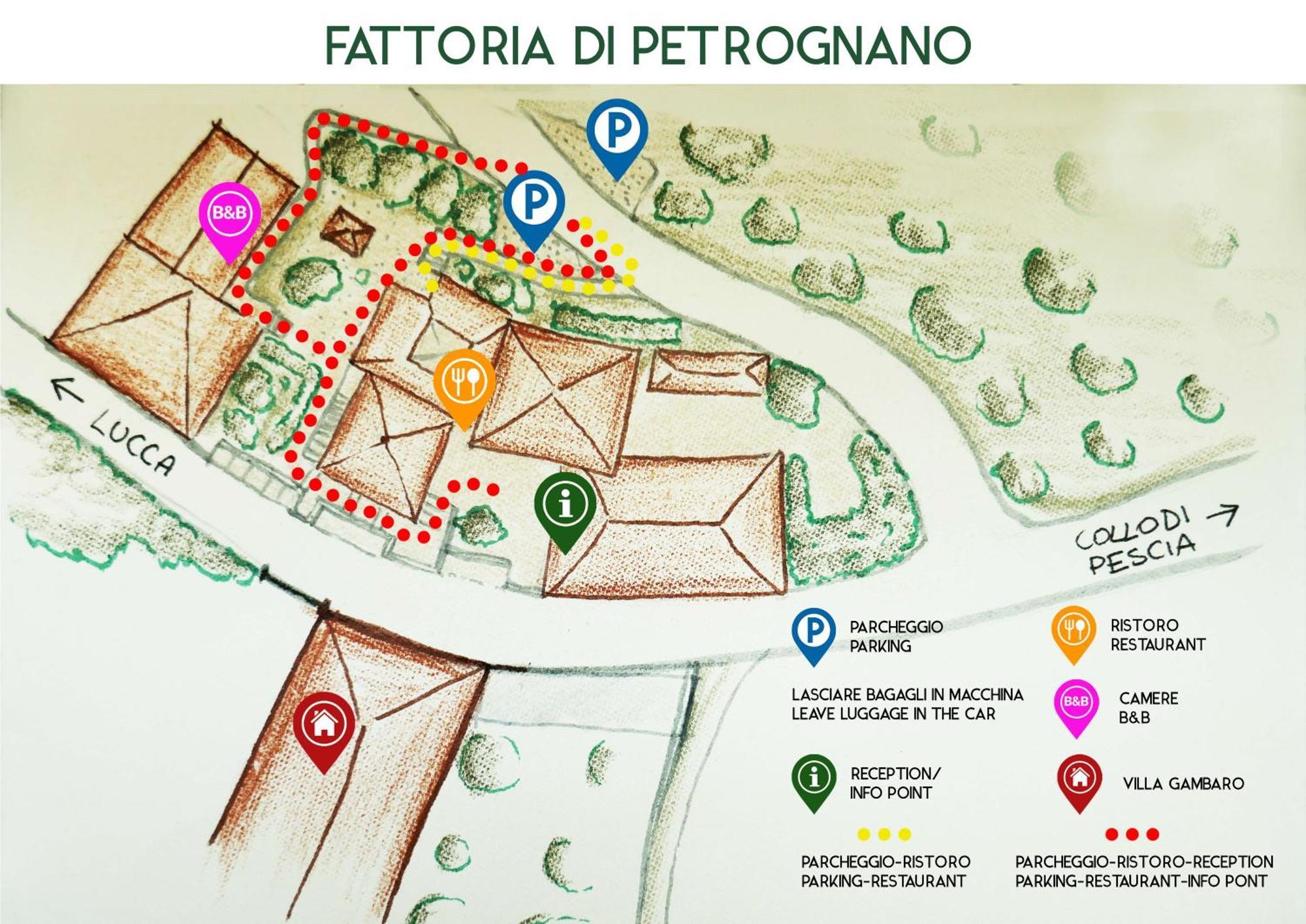 Fattoria Gambaro Di Petrognano Villa Collodi Kültér fotó